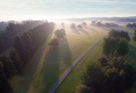 Behind The Scenes Of Our Woodlands - Hatfield Park