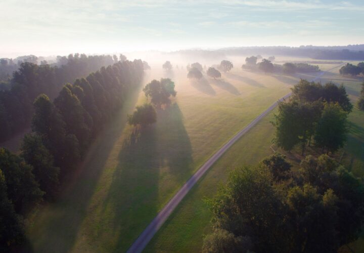 Behind The Scenes Of Our Woodlands - Hatfield Park