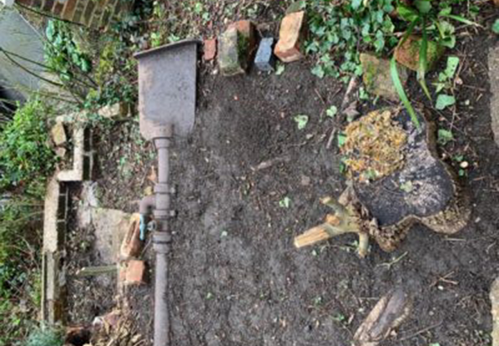 Digging Up The Past - Hatfield Park