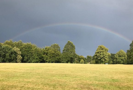 A Look Back At Last Weekends Theatre In The Park… - Hatfield Park