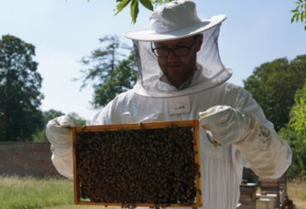 Beekeeping Experience - Hatfield House