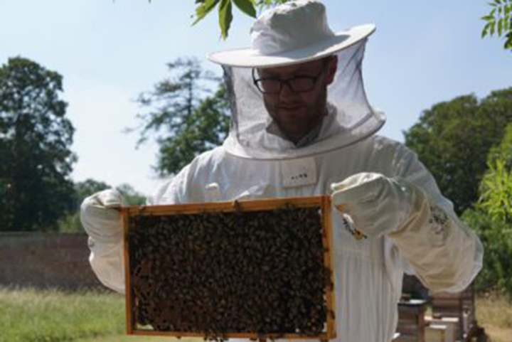 Beekeeping Experience - Hatfield House