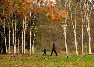 Autumn Walks This November - Hatfield Park Autumn Walks This November - Hatfield Park