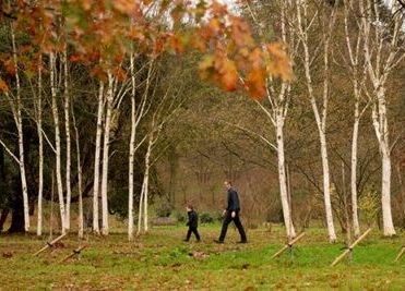 Autumn Walks This November - Hatfield Park