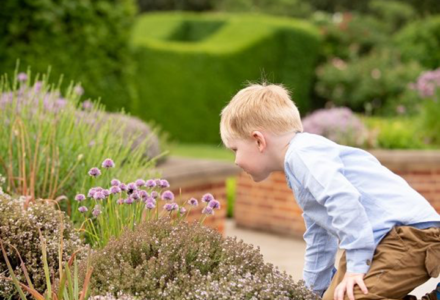 Game Fair Gardens Legacy - Hatfield Park