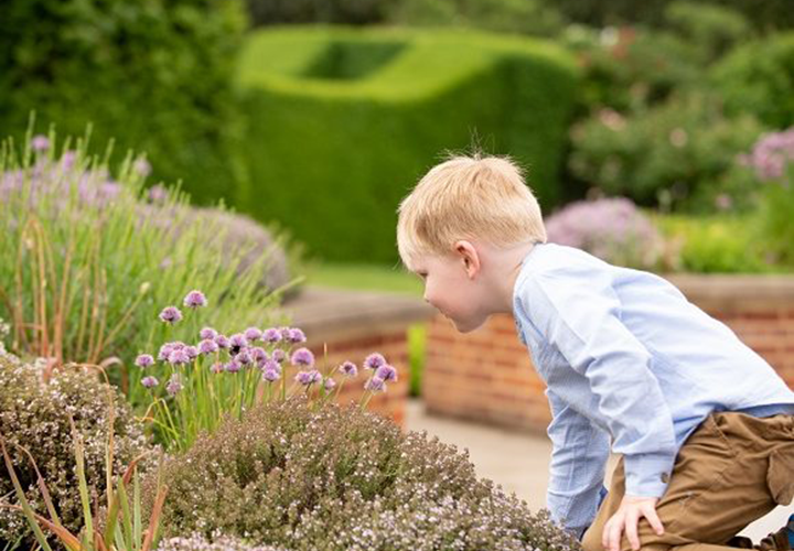 Game Fair Gardens Legacy - Hatfield Park