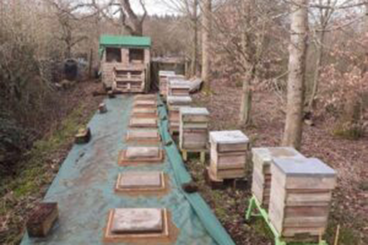 Barry’s Bees In Winter - Hatfield House