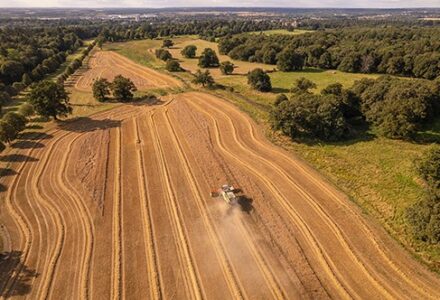 Time To Harvest - Hatfield Park