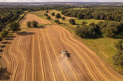 Time To Harvest - Hatfield Park