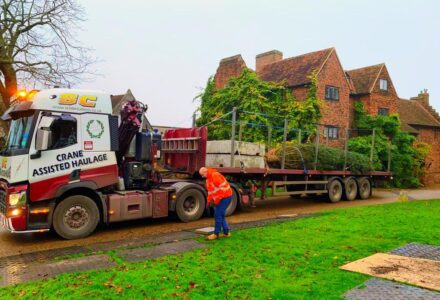 The Christmas Tree Arrives At The Old Palace - Hatfield House
