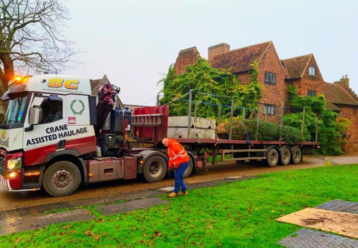 The Christmas Tree Arrives At The Old Palace - Hatfield House