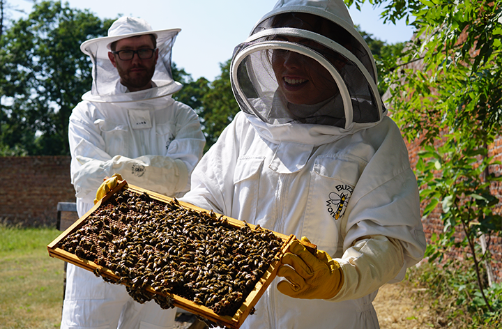Discover The Secret World Of Bees With An Experience - Hatfield House