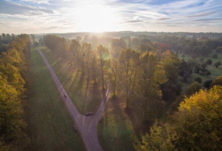 A Message From AEG Presents - Hatfield Park