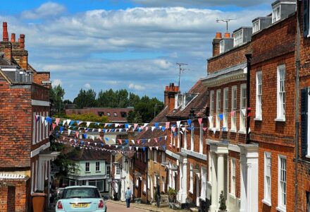 Beautiful Bunting - Hatfield Park