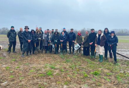 Team Tree Planting At Creswick - Hatfield Park