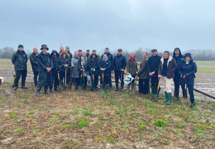 Team Tree Planting At Creswick - Hatfield Park